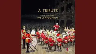 The Phantom Brigade