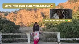 Morni hills .... 🤯   jaate jaate dikha bhootiya tree 🌳 