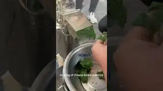 Chinese herbal medicine grinder-colloid mill #food #grindingmachine