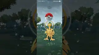 Fighting a Pok&eacute;mon gym