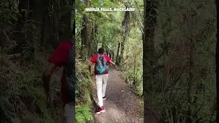 Hunua Falls Part 5 🌳 | Exploring the Forest Tracks & Nature | Hindi Travel Vlog