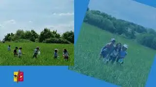 chasse aux &oelig;ufs &agrave; Montussan