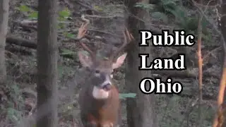 Vital Point Andrew Penzi on Public Land Ohio