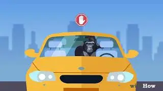 Strange, Funny, and Crazy Laws in the United States