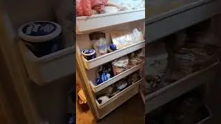 This is why we need freezer clean out week