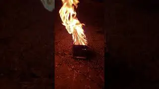 Folding wood stove