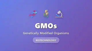 GMOs Explained: Genetically Modified Organisms | Biotechnology Basics