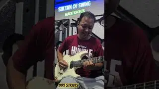 #markknopfler #direstraits #sultanofswing #guitar #everyone #music #cover #guitarcover #guitarsolo