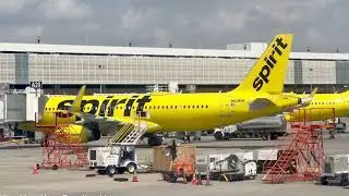 Spirit Airlines files for bankruptcy