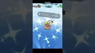 ✨ Shiny POKEMON Alert! ✨like the video for extra shiny luck :] #shinypokemon #pokemongo