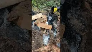 Pit Firing Pottery in a Cedar Stump