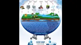 Drinking pond water through Puritii filter  | Free Safe Water
