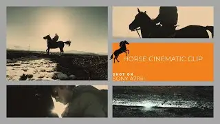 cinematic horse video shot on sony a7riii