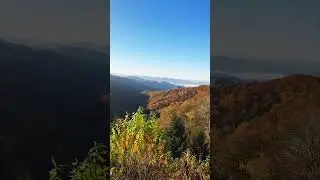 Newfound Gap Overlook - Where Tennessee Meets North Carolina🌅🌥️✨ #travel #nature #sunrise #tn