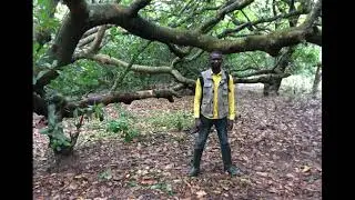 1.0 Intro (Assessment of Agulu-Nanka-Oko Gully Catchment)