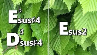 Ebsus #4 (D#sus #4) to Esus2 Backing Track