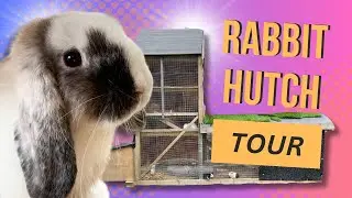 Rabbit Hutch Tour