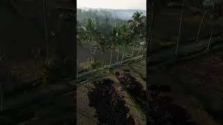 Found the best spot for a early morning walk #travel #shorts #dronepilot #bali
