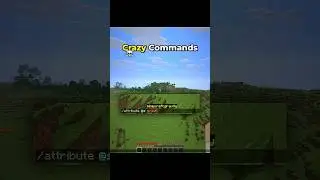 Minecraft Insane Commands Moment 💀