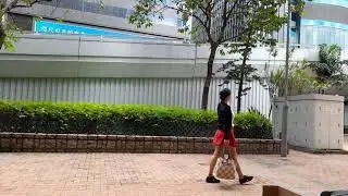 Fashionwalker...#shorts#catwalkbeauty#maloutemplevlog
