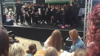 Letchworth Food and Drink Festival 2016