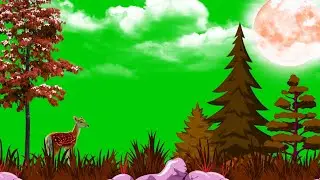 New Green Screen Background Video Effects HD 2025 | Beautiful Jungle Green Screen Template 