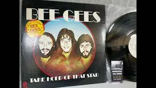 Bee Gees – Take Hold Of That Star LP US 1978 оцифровка виниловой пластинки без обработки звука
