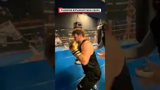 🥊 развитие взрывной силы удара #бокс#boxing#box