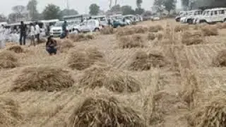 ab Tulsi dam per tokan free h