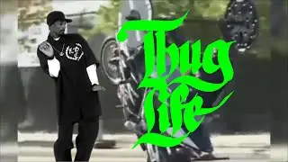 THUG LIFE VIDEOS DAHORA | ESPECIAL 30000 INSCRITOS
