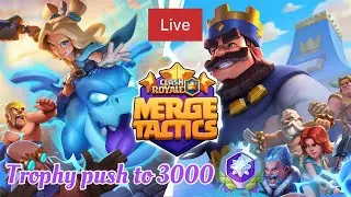 Back with the echo ruler for the last push | Merge tactics