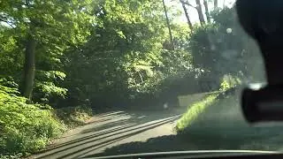 Driving through forest on a sunny day.