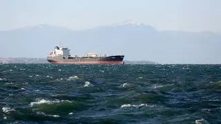 Castor Maritime adds two more ships to its fleet