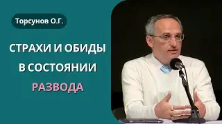 Страхи и обиды в состоянии развода! Торсунов лекции