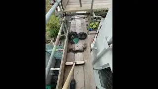 Amazing Roof Transformation! Full Roof Cleaning & Moss Removal by E&A Roof Cleaning 🌿🏠