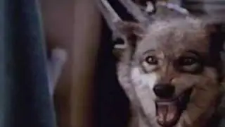 Wilderness Wolf Morph 3