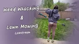 Weed Whacking & Lawn Mowing Livestream