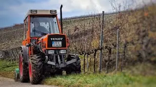 Weinberg mulchen, Fendt 250 K (V) mit Schlegelmulcher