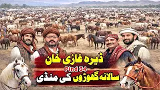 Dera Ghazi Khan Horse Mandi Rates Update 2026 | Horse Festival In Punjab | Horse Videos | Pind 34￼