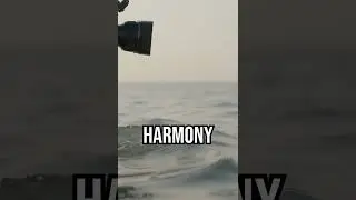 Discover the ocean's secret dance. #OceanHarmony #GlobalBalance