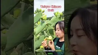 Unique Chinese fruits#sot #china #farming #farming
