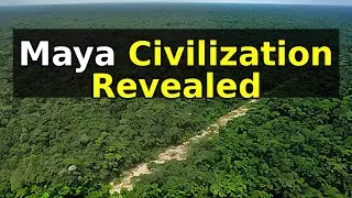 Archaeological Discoveries in the Campeche Forest: Revelations about Maya Civilization