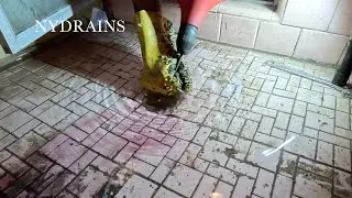 Clogged Drain #203