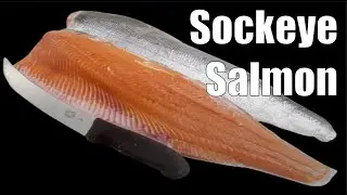Red Salmon: Easier Than You Think