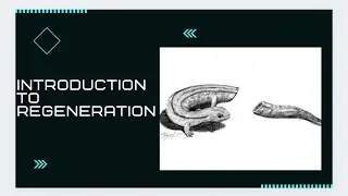 Introduction to Regeneration