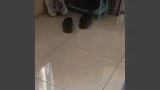 Berikan kesenangan