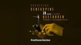SINFONIA N. 7 IN LA MAGGIORE OP. 92 ✩ Beethoven ✩ Orchestra Senzaspine ✩ T. Ussardi