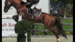 Regatul Cailor - 12 Iulie 2015 - Grand Prix Jockey Club Tour