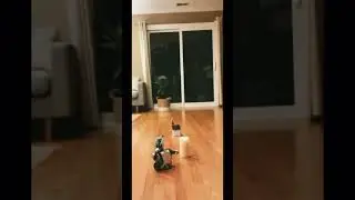 Charlie Passes Obstacles and Dances #lego #mindstorms #shorts #charlie #coding #dance #run #speed