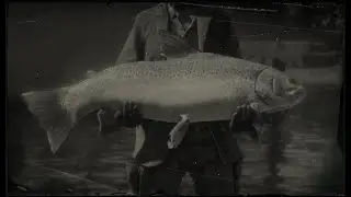 RDR2 - Fishing / Legendary Steelhead Trout
